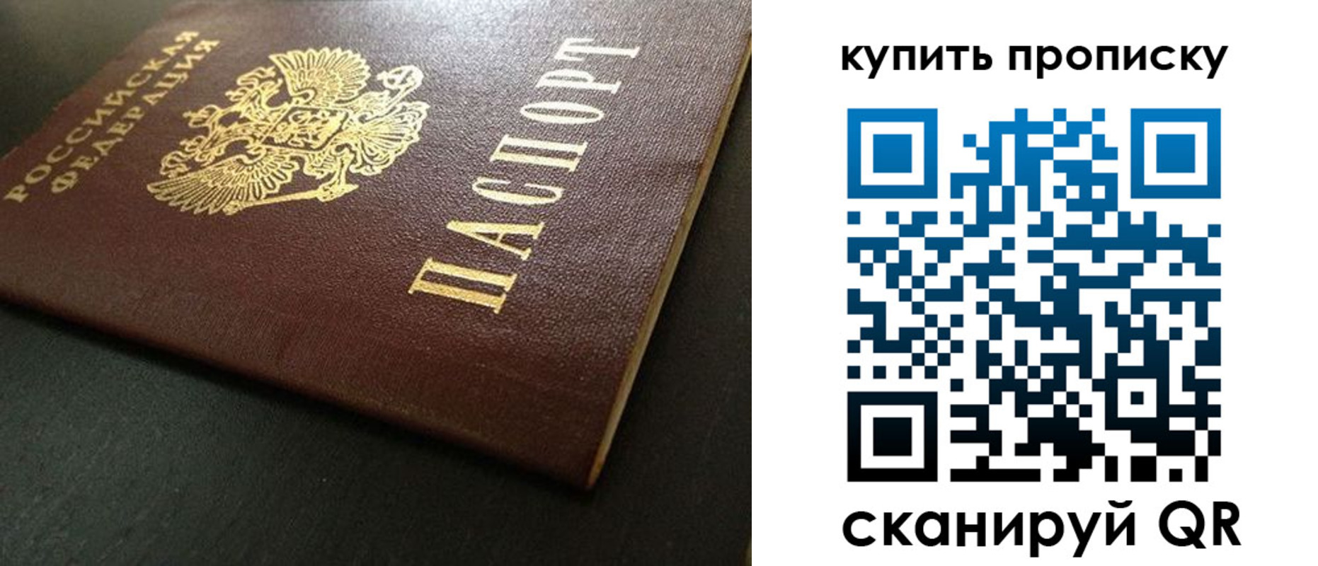 прописка законно в Мурманске